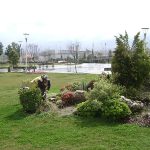 Park ve Yeşil Alan Bakımı