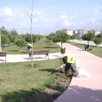 Park ve Yeşil Alan Bakımı